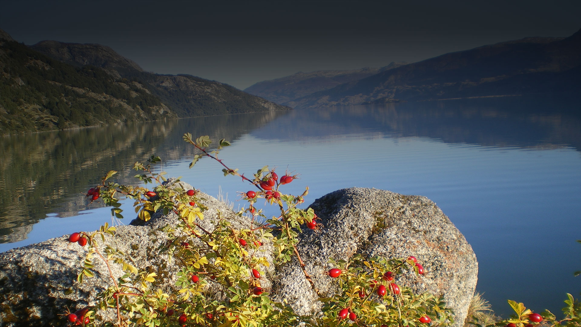 parallax background